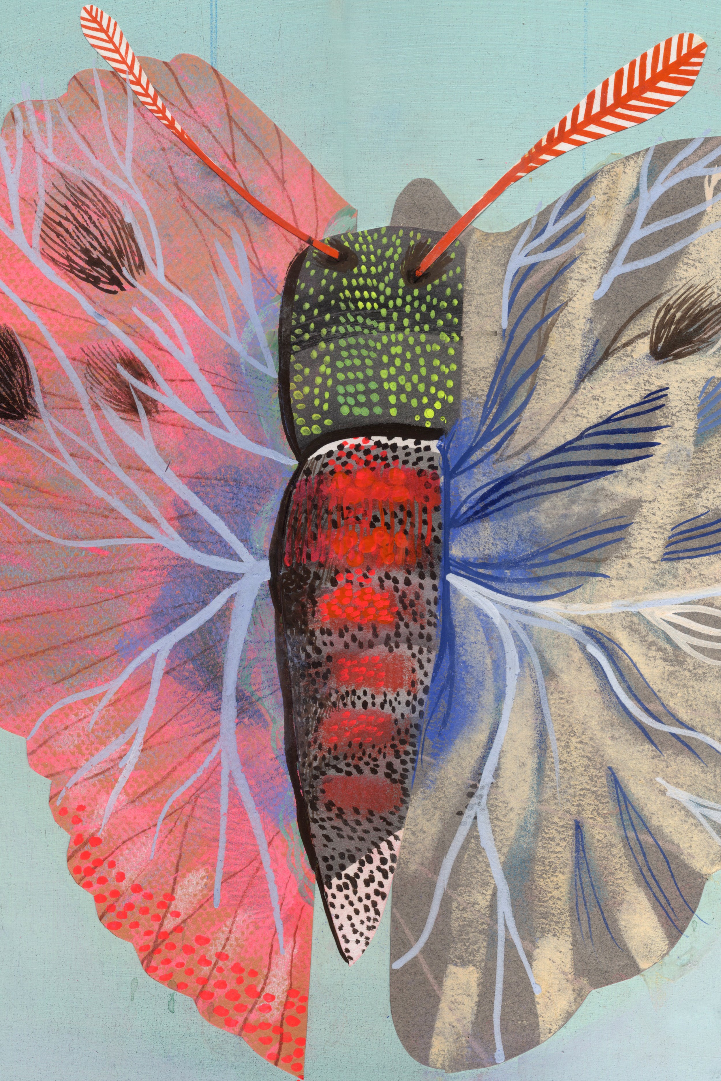 Illustration of a butterfly with colorful wings on a light blue background